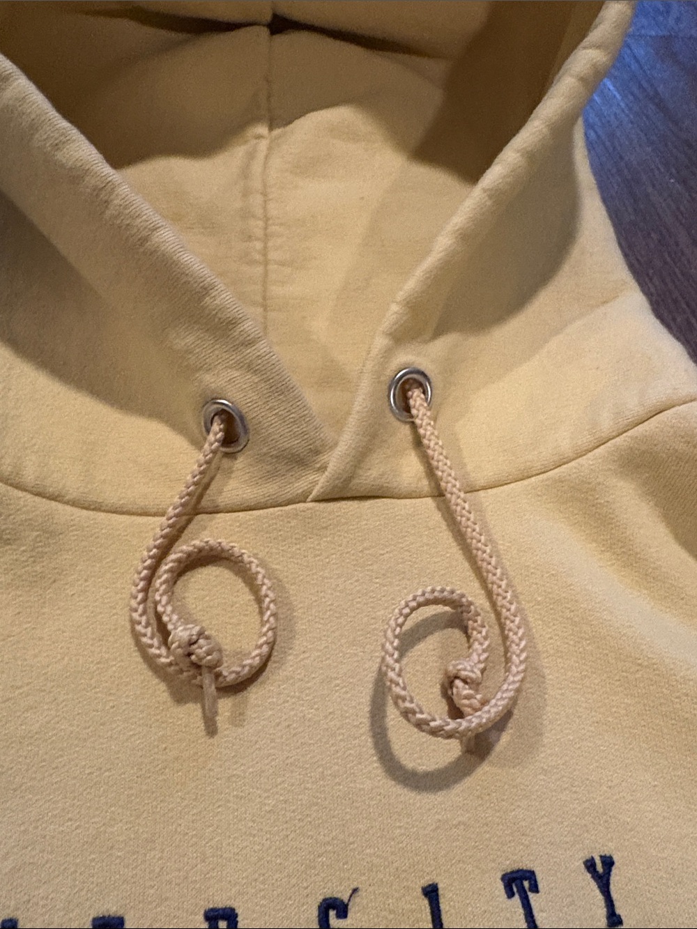 Champion men’s medium University of Notre Dame stitched hoodie - Picture 5 of 8